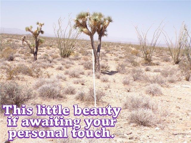 Land for sale in Yucca, Arizona