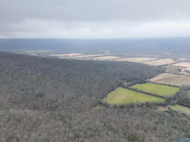 Land for sale in Alabama
