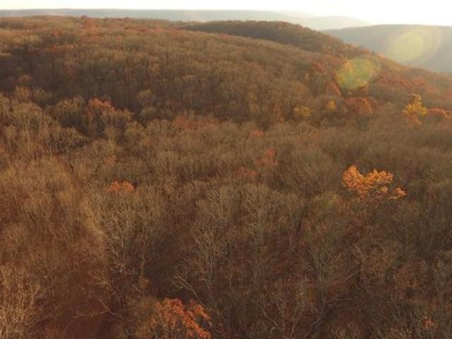 Land for sale in Alabama