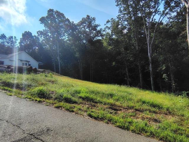 Land for sale in Franklin Springs, Georgia
