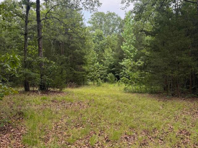 Land for sale in Chatham, North Carolina