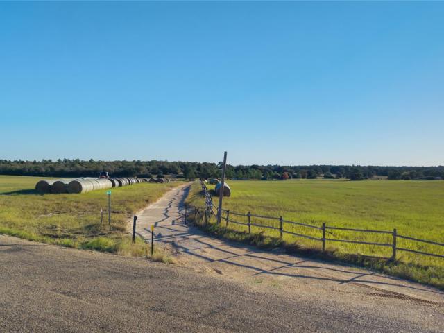 Land for sale in Mc Dade, Texas