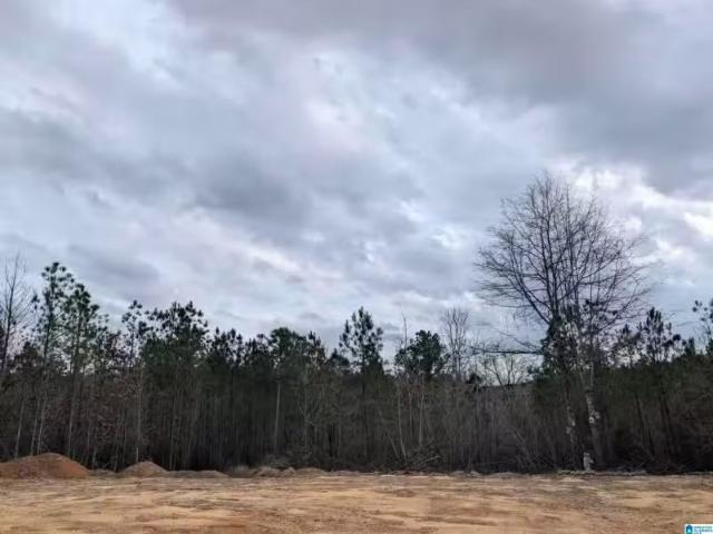 House for rent in Clanton, Alabama