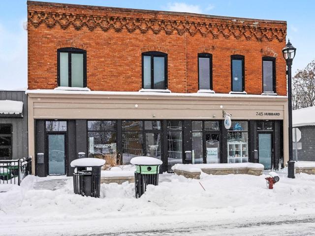 Commercial for sale in Allegan, Michigan