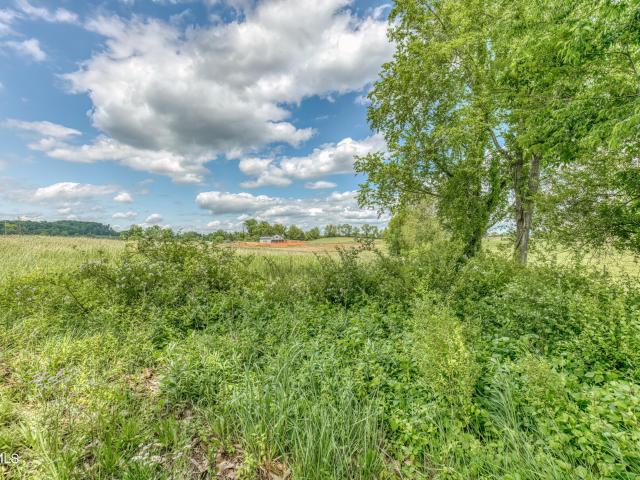 Land for sale in Tennessee