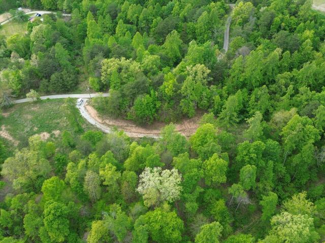 Land for sale in Olive Hill, Kentucky