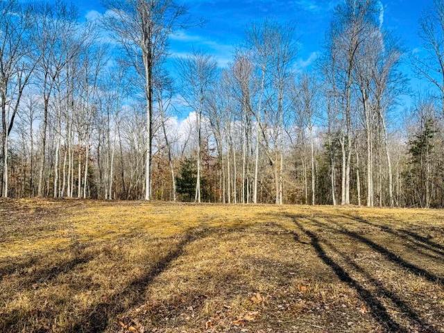Land for sale in Tennessee