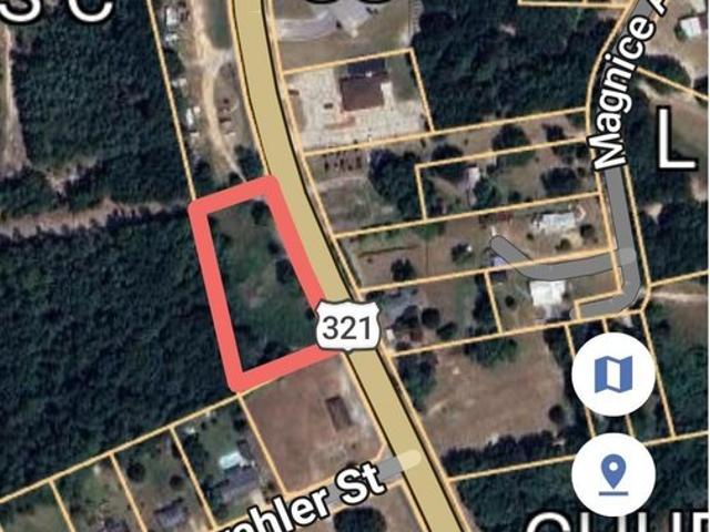 Land for sale in Gaston, Lexington County