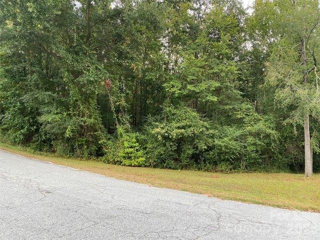 Land for sale in Whitmire, South Carolina