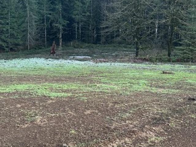 Land for sale in Castle Rock, Washington