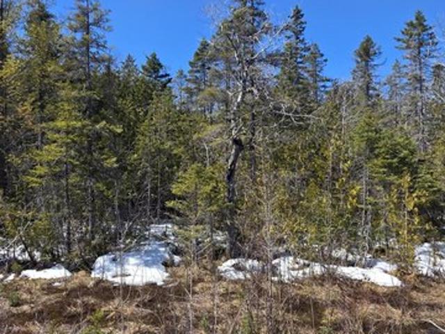 Land for sale in Alpena, Michigan