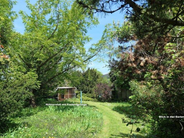 Haus kaufen in Bruck an der Leitha, Niederösterreich