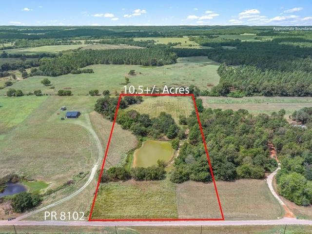 Land for sale in Frankston, Texas