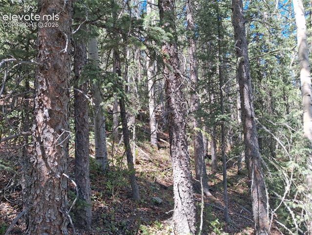 Land for sale in Teller, Colorado