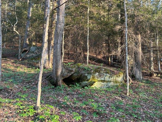 Land for sale in Ohio