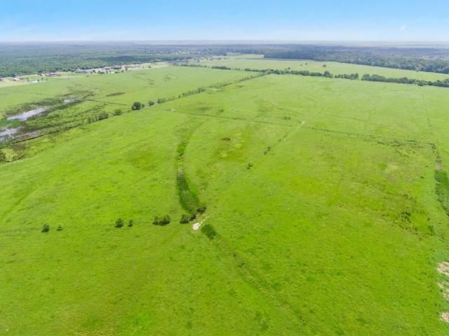 Land for sale in Louisiana