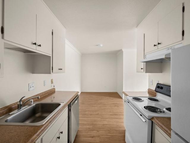 Apartment for rent in Berkeley, California