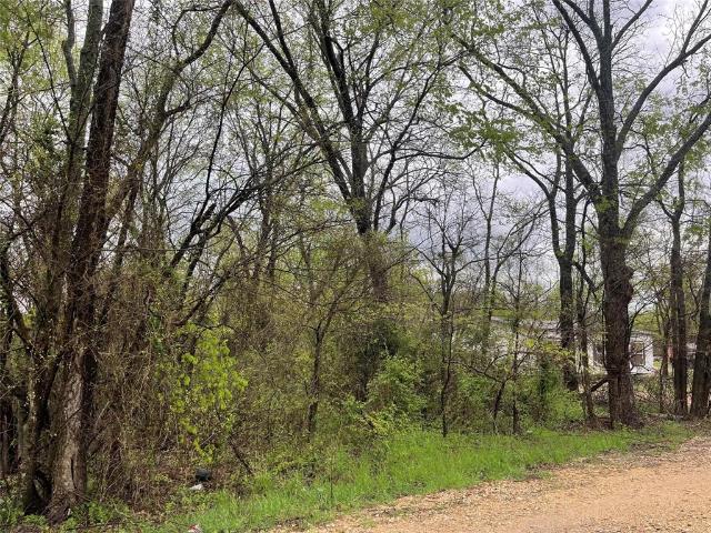 Land for sale in Delta, Texas