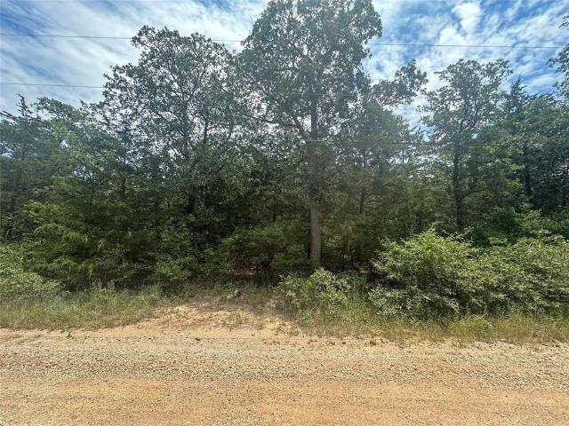 Land for sale in Smithville, Texas