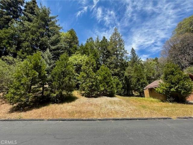 Land for sale in Cedar Glen, California