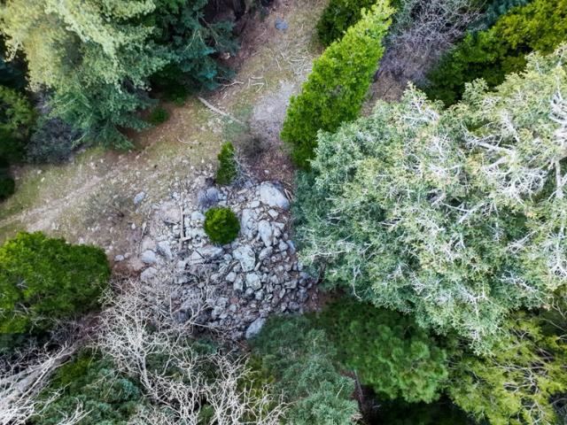 Land for sale in Cedar Glen, California