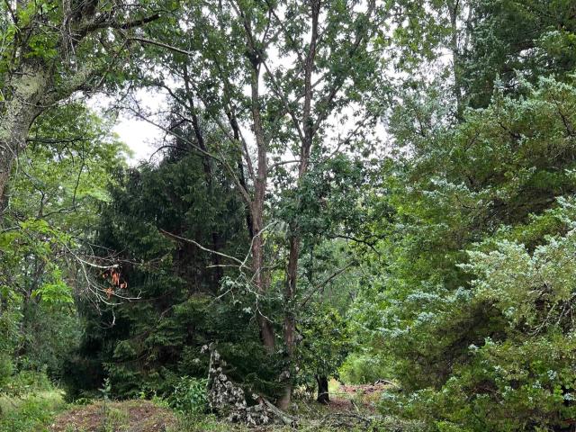 Land for sale in Galloway Township, Atlantic County