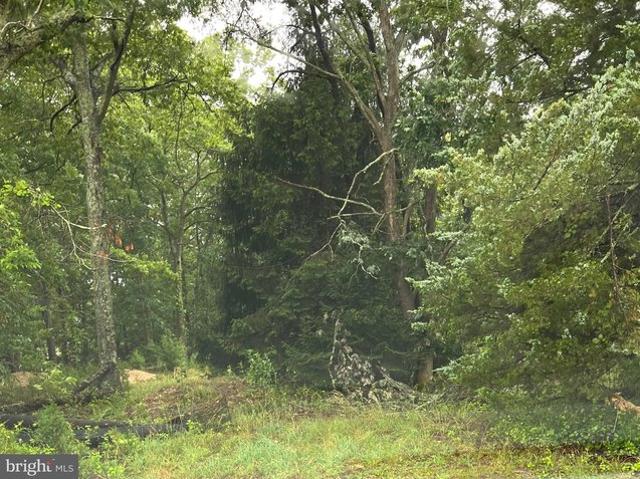 Land for sale in Ewan, New Jersey