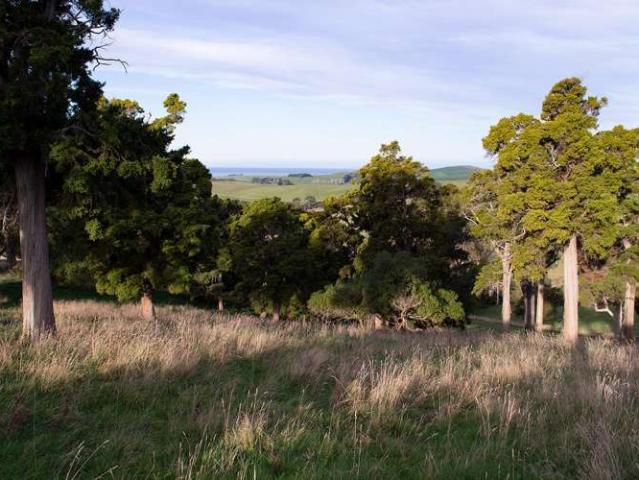 Property for sale in Otakou