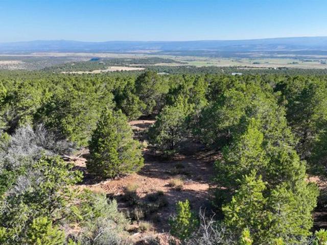 Land for sale in Norwood, Colorado