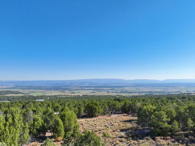 Land for sale in Colorado