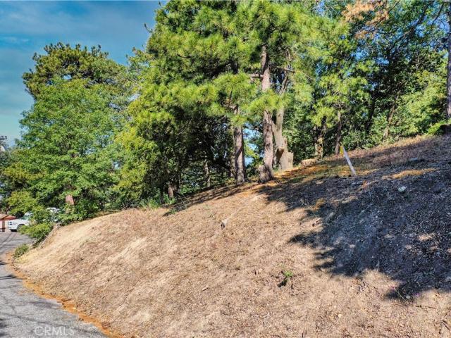 Land for sale in Green Valley Lake, California