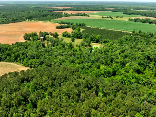 Farm for sale in Dawson, Georgia
