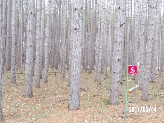 Land for sale in Nekoosa, Wisconsin