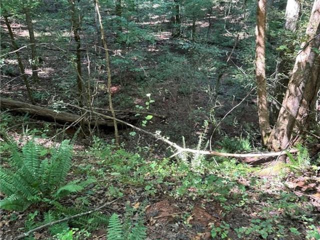 Land for sale in Madison, Georgia