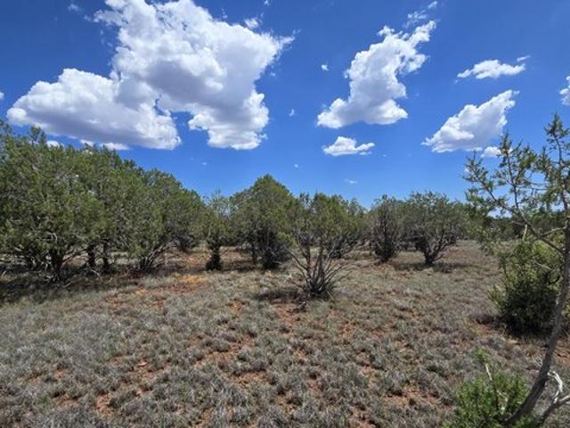 Land for sale in Williams, Arizona