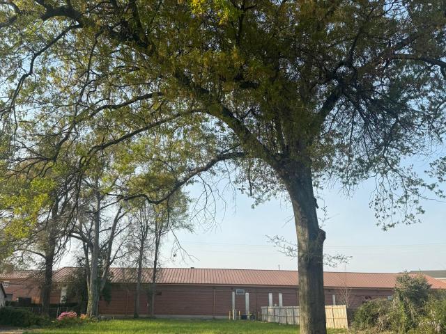 Land for sale in Augusta, Richmond County