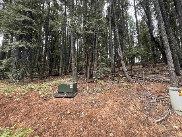 Land for sale in Quincy, California