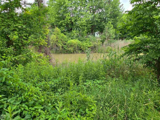 House for sale in Harrison Township, Michigan