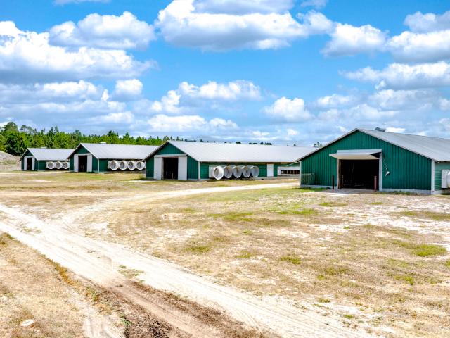 Land for sale in Glennville, Tattnall County