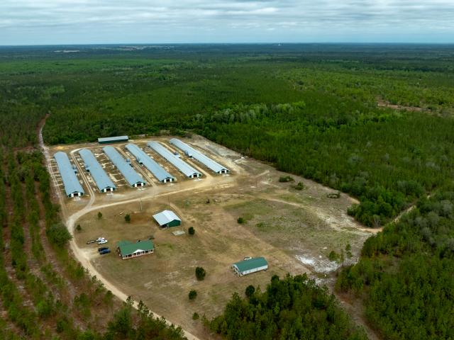 Land for sale in Reidsville, Georgia