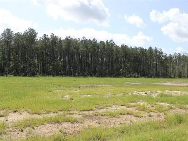 Land for sale in Independence, Louisiana