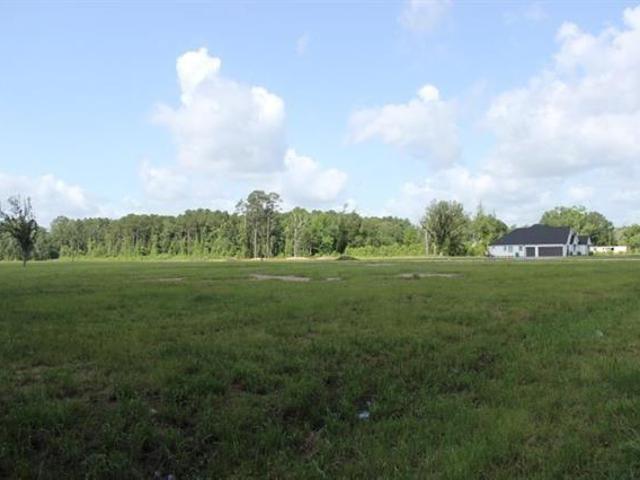 Land for sale in Independence, Louisiana