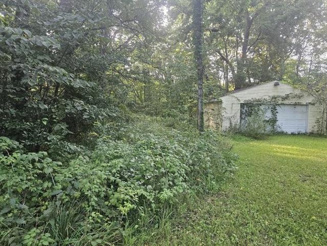 Land for sale in Bangor, Van Buren County