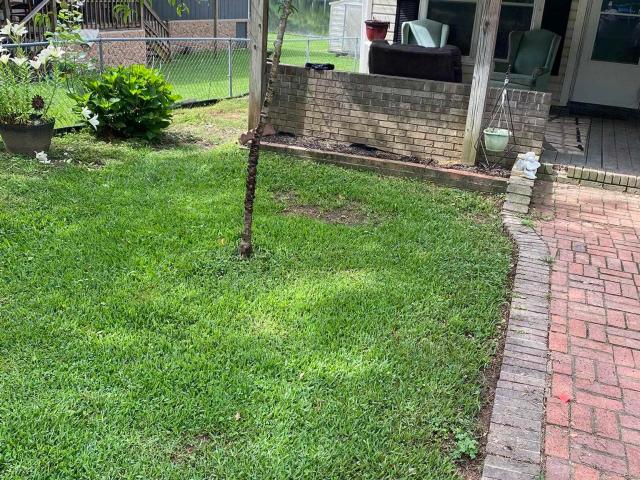 House for sale in Ashville, Alabama