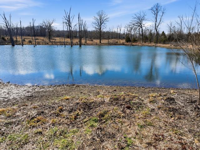 House for sale in Alton, Missouri