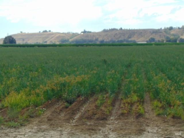 Land for sale in Oregonia