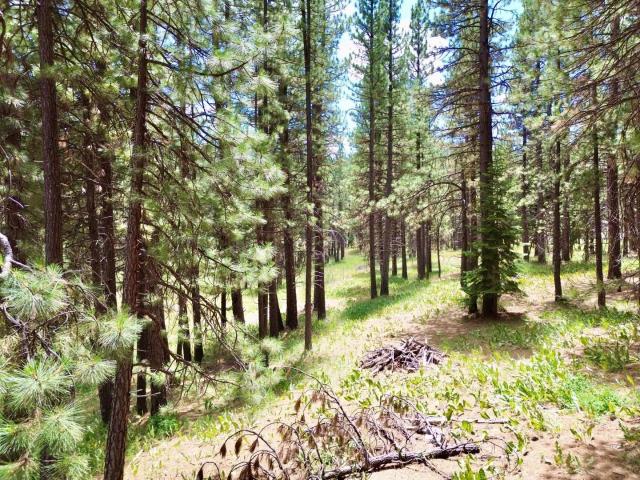 Land for sale in California