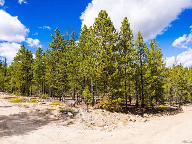 Land for sale in Twin Lakes, Colorado