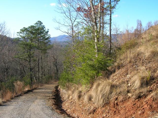 Land for sale in Murphy, North Carolina