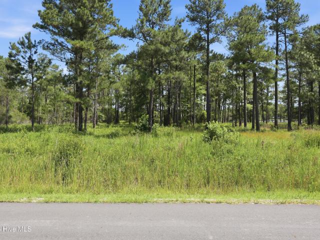 Land for sale in Vandemere, North Carolina